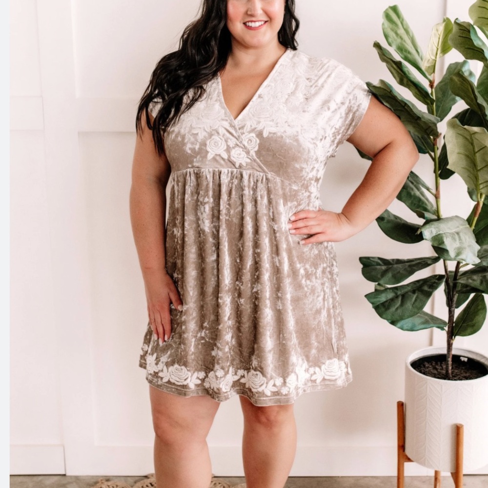 Savanna Jane Velvet Dress